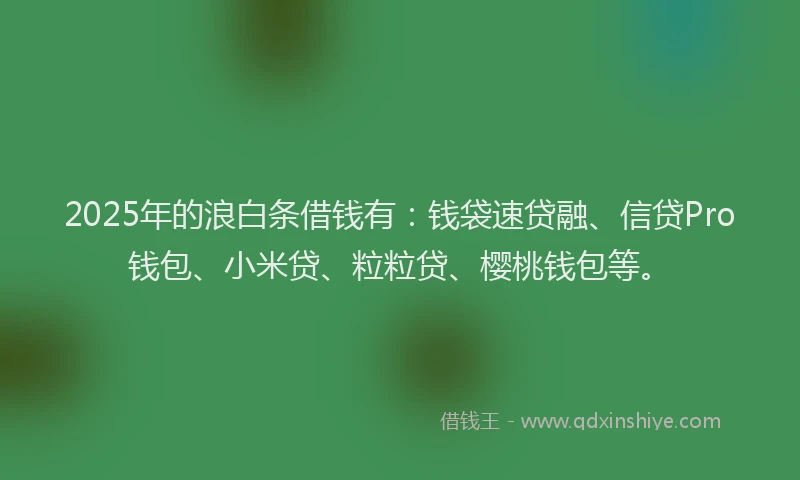 2025年的浪白条借钱有：钱袋速贷融、信贷Pro钱包、小米贷、粒粒贷、樱桃钱包等。