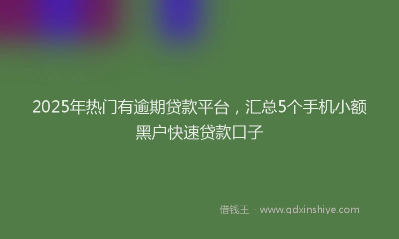 2025年热门有逾期贷款平台，汇总5个手机小额黑户快速贷款口子