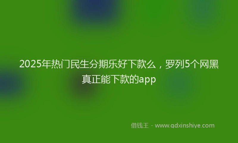 2025年热门民生分期乐好下款么，罗列5个网黑真正能下款的app