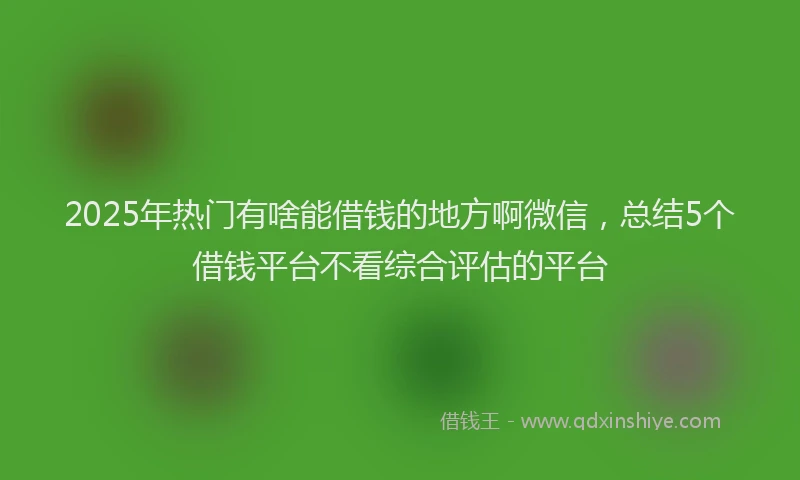 2025年热门有啥能借钱的地方啊微信，总结5个借钱平台不看综合评估的平台