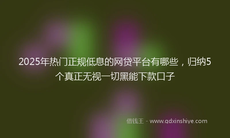 2025年热门正规低息的网贷平台有哪些，归纳5个真正无视一切黑能下款口子