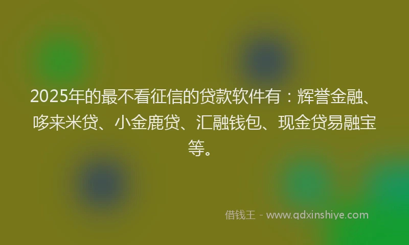 2025年的最不看征信的贷款软件有：辉誉金融、哆来米贷、小金鹿贷、汇融钱包、现金贷易融宝等。