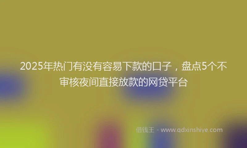 2025年热门有没有容易下款的口子，盘点5个不审核夜间直接放款的网贷平台
