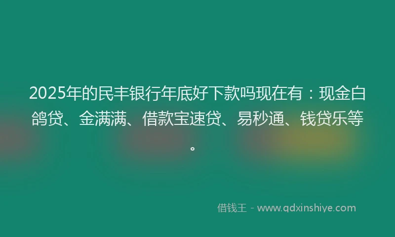2025年的民丰银行年底好下款吗现在有：现金白鸽贷、金满满、借款宝速贷、易秒通、钱贷乐等。