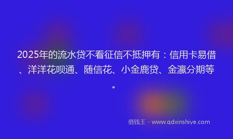 2025年的流水贷不看征信不抵押有：信用卡易借、洋洋花呗通、随信花、小金鹿贷、金瀛分期等。