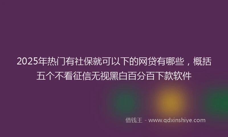 2025年热门有社保就可以下的网贷有哪些，概括五个不看征信无视黑白百分百下款软件