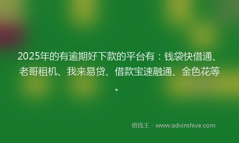 2025年的有逾期好下款的平台有：钱袋快借通、老哥租机、我来易贷、借款宝速融通、金色花等。