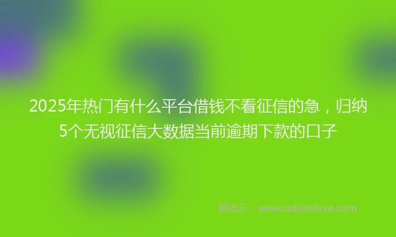 2025年热门有什么平台借钱不看征信的急，归纳5个无视征信大数据当前逾期下款的口子