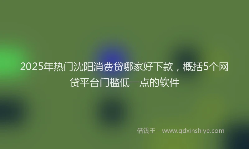 2025年热门沈阳消费贷哪家好下款，概括5个网贷平台门槛低一点的软件