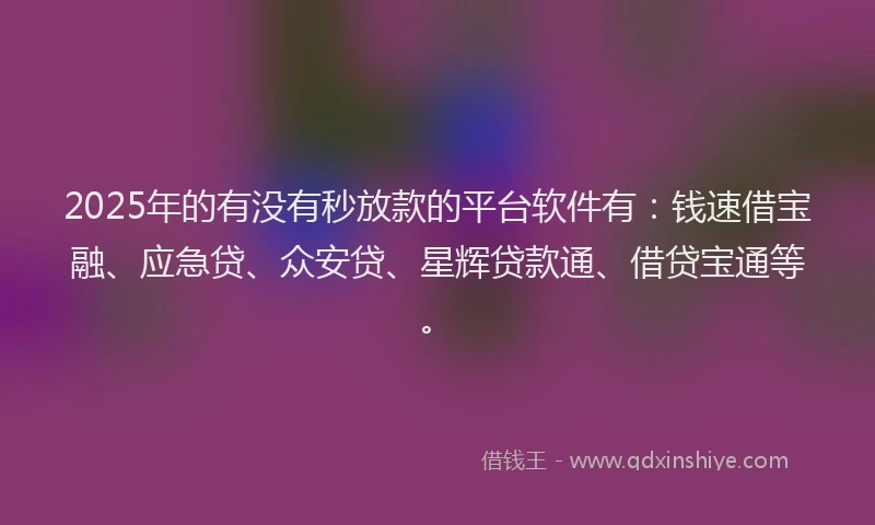 2025年的有没有秒放款的平台软件有：钱速借宝融、应急贷、众安贷、星辉贷款通、借贷宝通等。