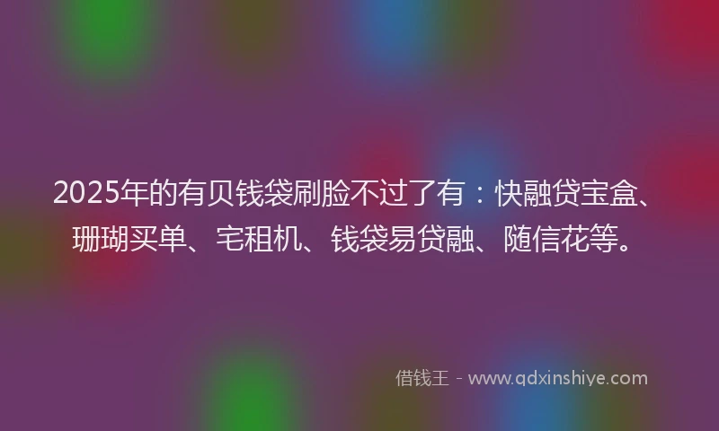 2025年的有贝钱袋刷脸不过了有：快融贷宝盒、珊瑚买单、宅租机、钱袋易贷融、随信花等。