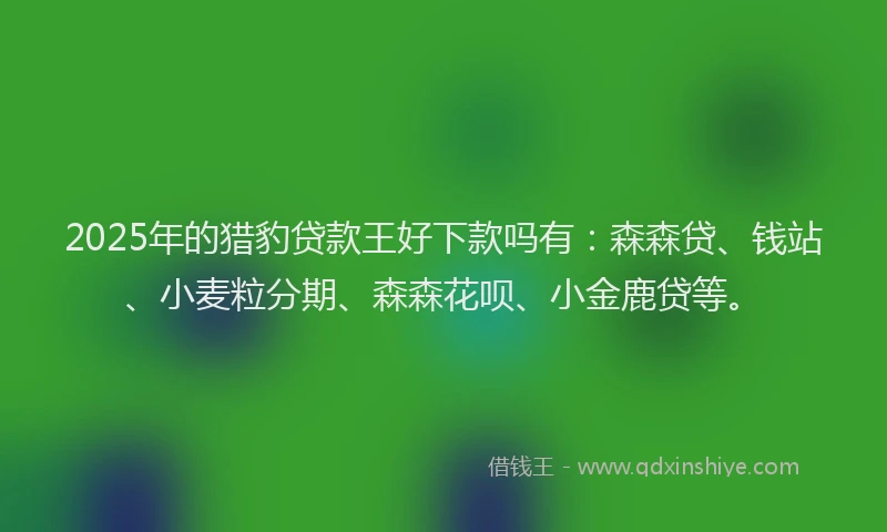 2025年的猎豹贷款王好下款吗有：森森贷、钱站、小麦粒分期、森森花呗、小金鹿贷等。