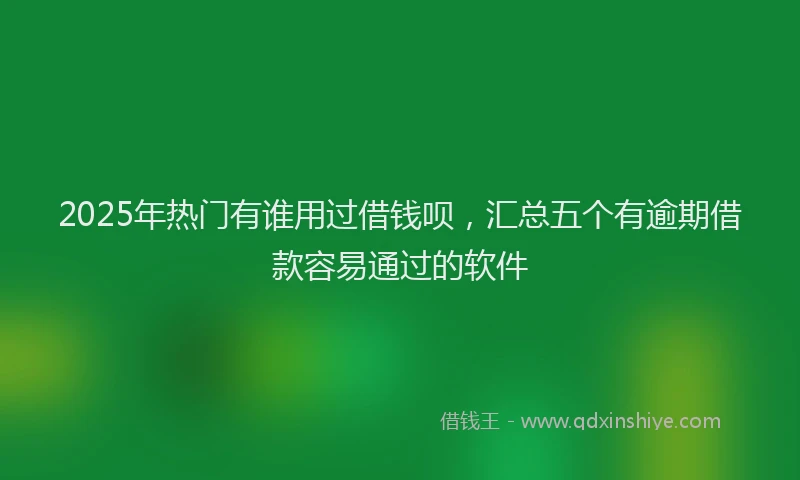 2025年热门有谁用过借钱呗，汇总五个有逾期借款容易通过的软件