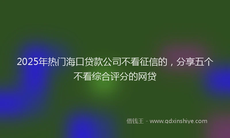 2025年热门海口贷款公司不看征信的，分享五个不看综合评分的网贷