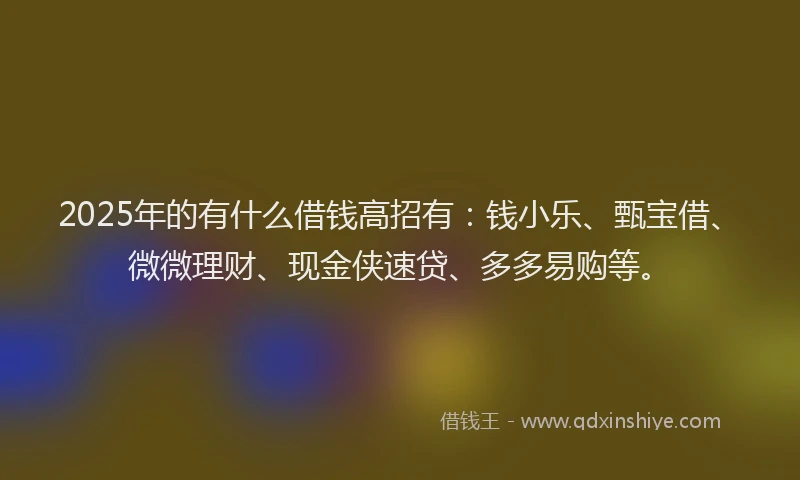 2025年的有什么借钱高招有：钱小乐、甄宝借、微微理财、现金侠速贷、多多易购等。