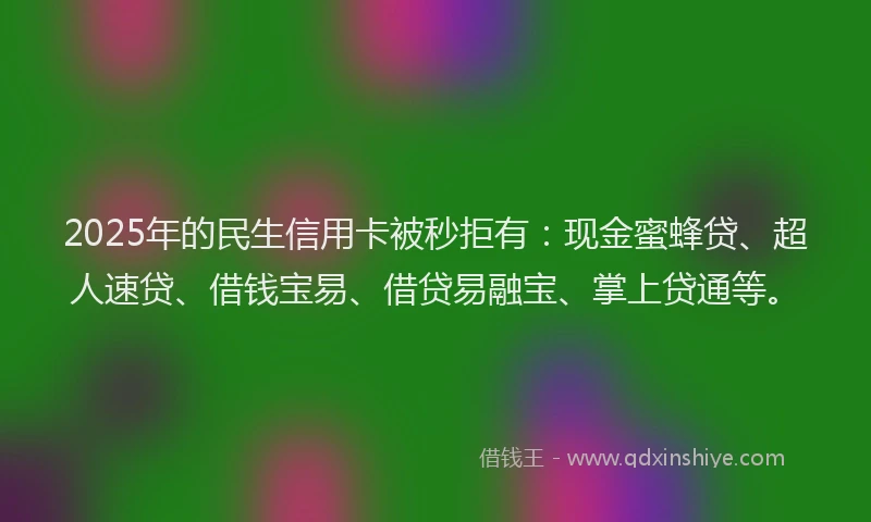 2025年的民生信用卡被秒拒有：现金蜜蜂贷、超人速贷、借钱宝易、借贷易融宝、掌上贷通等。