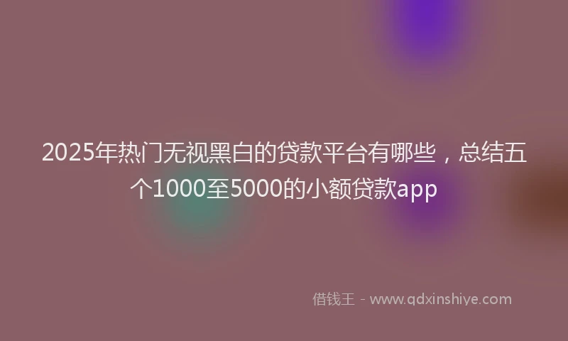 2025年热门无视黑白的贷款平台有哪些，总结五个1000至5000的小额贷款app