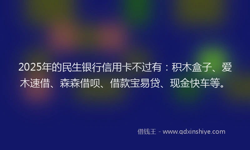 2025年的民生银行信用卡不过有：积木盒子、爱木速借、森森借呗、借款宝易贷、现金快车等。