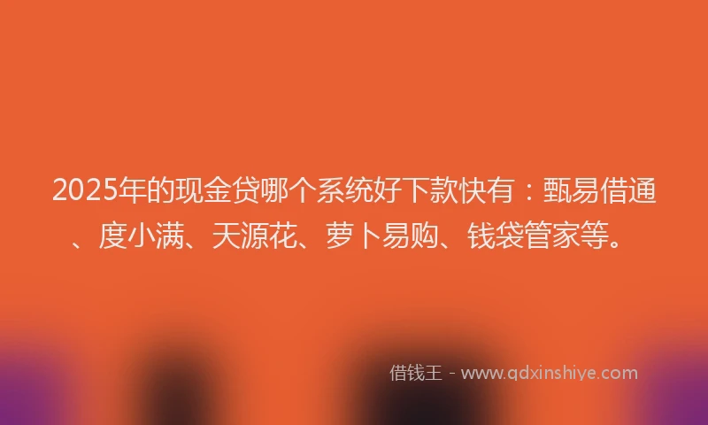 2025年的现金贷哪个系统好下款快有：甄易借通、度小满、天源花、萝卜易购、钱袋管家等。