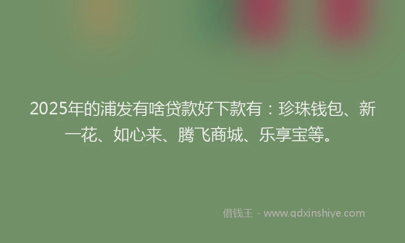 2025年的浦发有啥贷款好下款有：珍珠钱包、新一花、如心来、腾飞商城、乐享宝等。