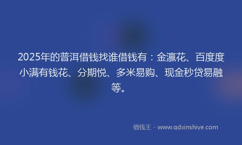 2025年的普洱借钱找谁借钱有：金瀛花、百度度小满有钱花、分期悦、多米易购、现金秒贷易融等。