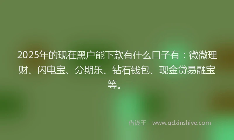 2025年的现在黑户能下款有什么口子有：微微理财、闪电宝、分期乐、钻石钱包、现金贷易融宝等。