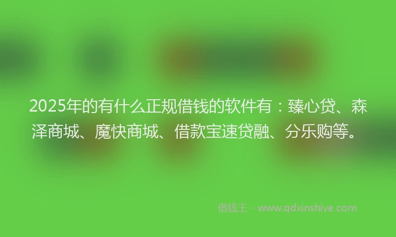 2025年的有什么正规借钱的软件有：臻心贷、森泽商城、魔快商城、借款宝速贷融、分乐购等。