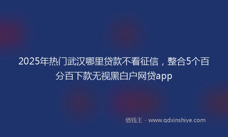 2025年热门武汉哪里贷款不看征信，整合5个百分百下款无视黑白户网贷app