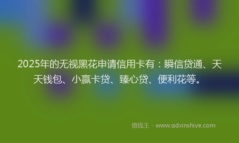 2025年的无视黑花申请信用卡有：瞬信贷通、天天钱包、小赢卡贷、臻心贷、便利花等。