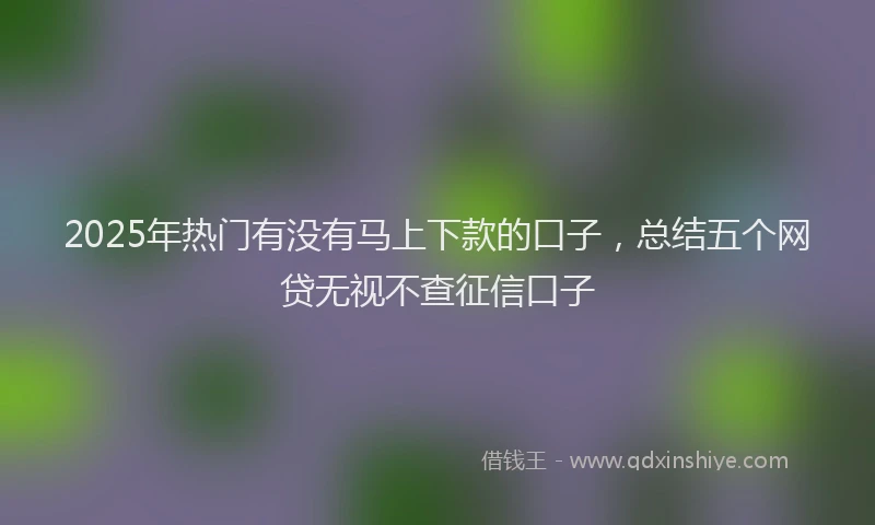 2025年热门有没有马上下款的口子，总结五个网贷无视不查征信口子