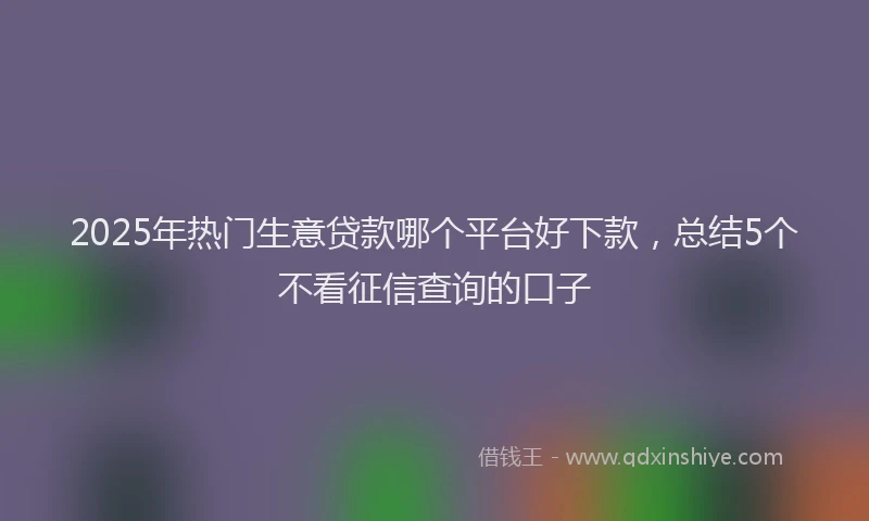 2025年热门生意贷款哪个平台好下款，总结5个不看征信查询的口子