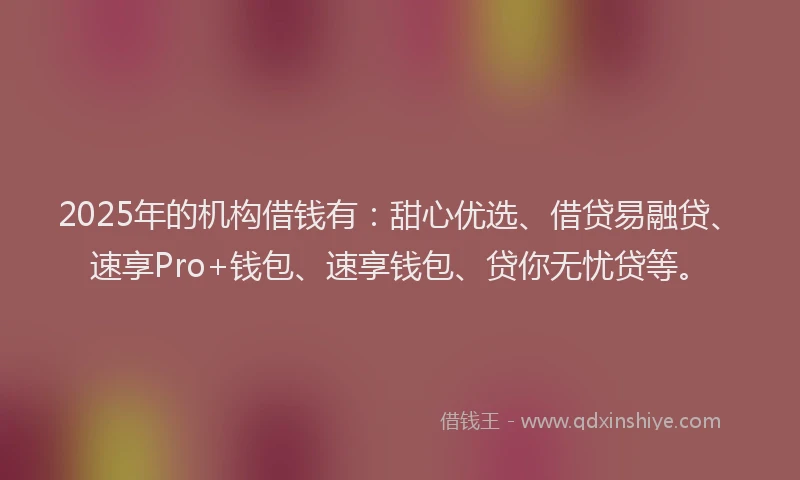 2025年的机构借钱有：甜心优选、借贷易融贷、速享Pro+钱包、速享钱包、贷你无忧贷等。