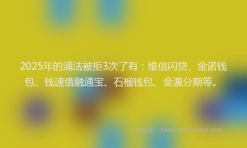 2025年的浦法被拒3次了有：维信闪贷、金诺钱包、钱速借融通宝、石榴钱包、金瀛分期等。