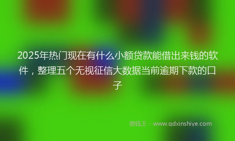 2025年热门现在有什么小额贷款能借出来钱的软件，整理五个无视征信大数据当前逾期下款的口子