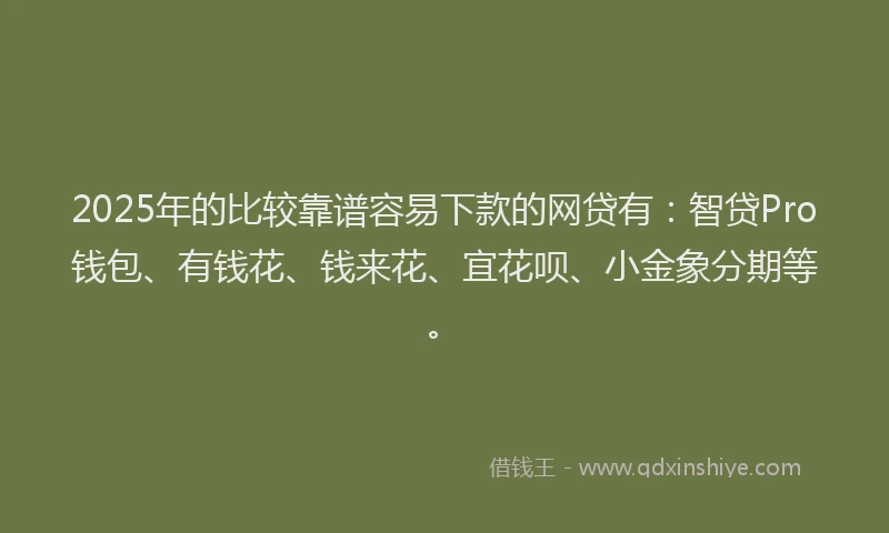 2025年的比较靠谱容易下款的网贷有：智贷Pro钱包、有钱花、钱来花、宜花呗、小金象分期等。