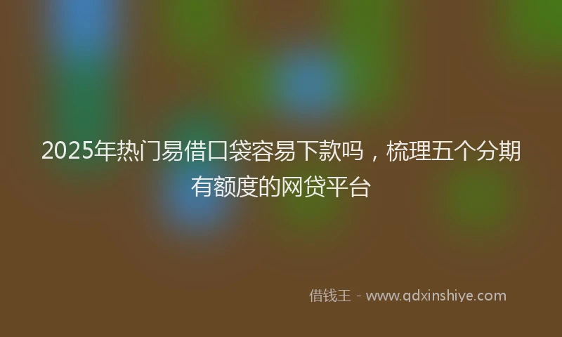 2025年热门易借口袋容易下款吗，梳理五个分期有额度的网贷平台