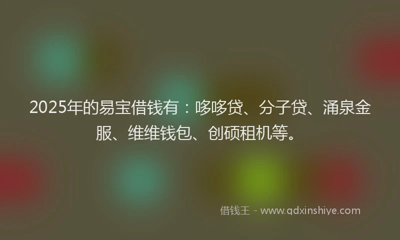 2025年的易宝借钱有：哆哆贷、分子贷、涌泉金服、维维钱包、创硕租机等。