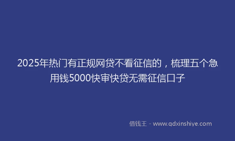 2025年热门有正规网贷不看征信的，梳理五个急用钱5000快审快贷无需征信口子