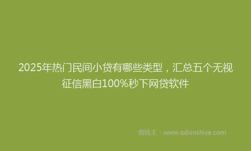 2025年热门民间小贷有哪些类型，汇总五个无视征信黑白100%秒下网贷软件