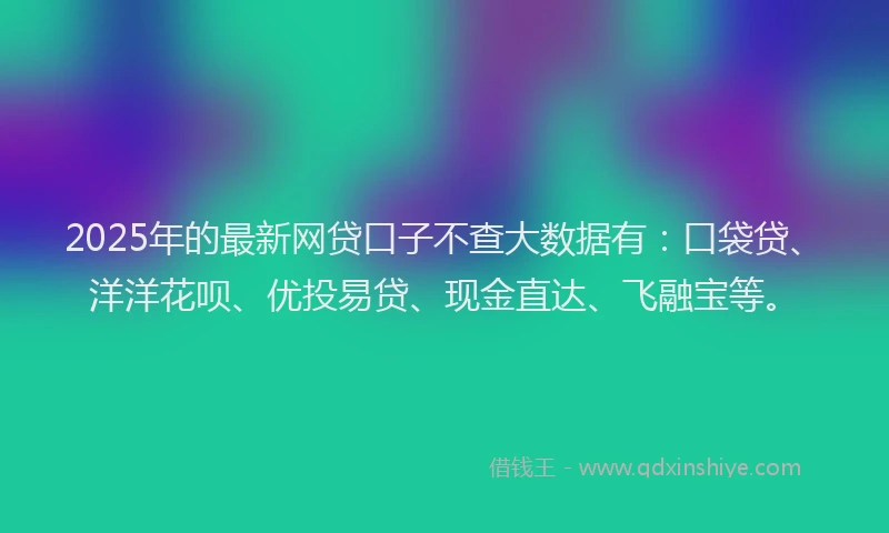 2025年的最新网贷口子不查大数据有：口袋贷、洋洋花呗、优投易贷、现金直达、飞融宝等。