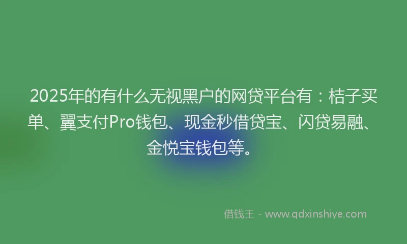 2025年的有什么无视黑户的网贷平台有：桔子买单、翼支付Pro钱包、现金秒借贷宝、闪贷易融、金悦宝钱包等。