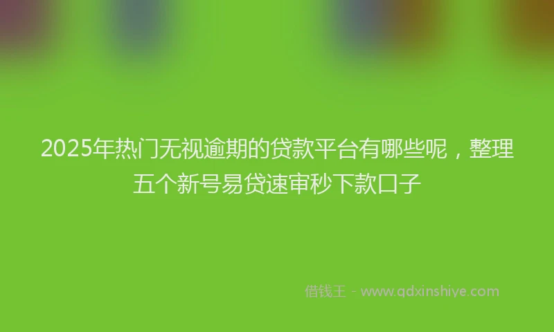 2025年热门无视逾期的贷款平台有哪些呢，整理五个新号易贷速审秒下款口子