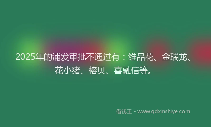 2025年的浦发审批不通过有：维品花、金瑞龙、花小猪、榕贝、喜融信等。