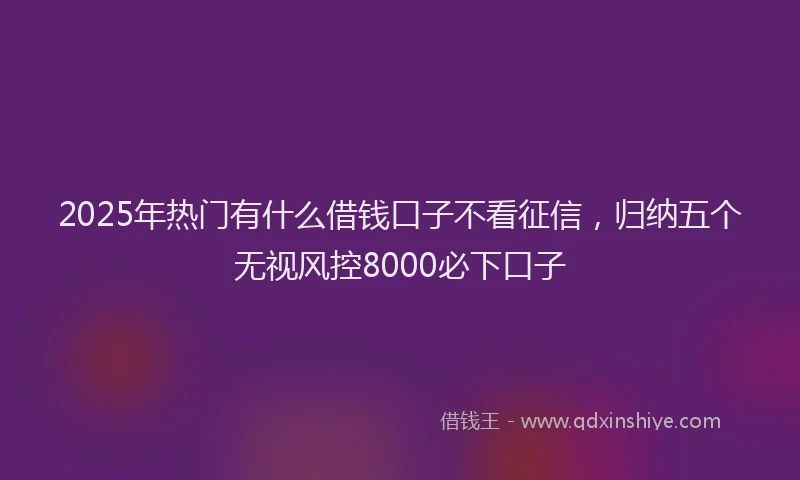 2025年热门有什么借钱口子不看征信，归纳五个无视风控8000必下口子
