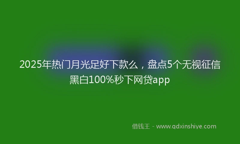 2025年热门月光足好下款么，盘点5个无视征信黑白100%秒下网贷app