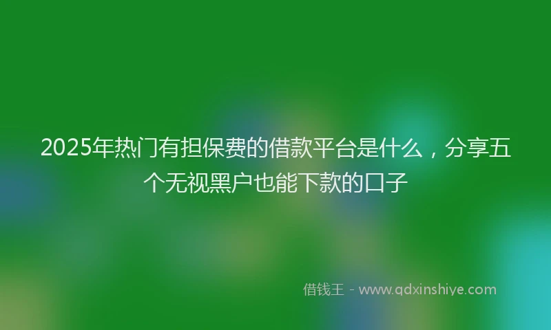 2025年热门有担保费的借款平台是什么，分享五个无视黑户也能下款的口子