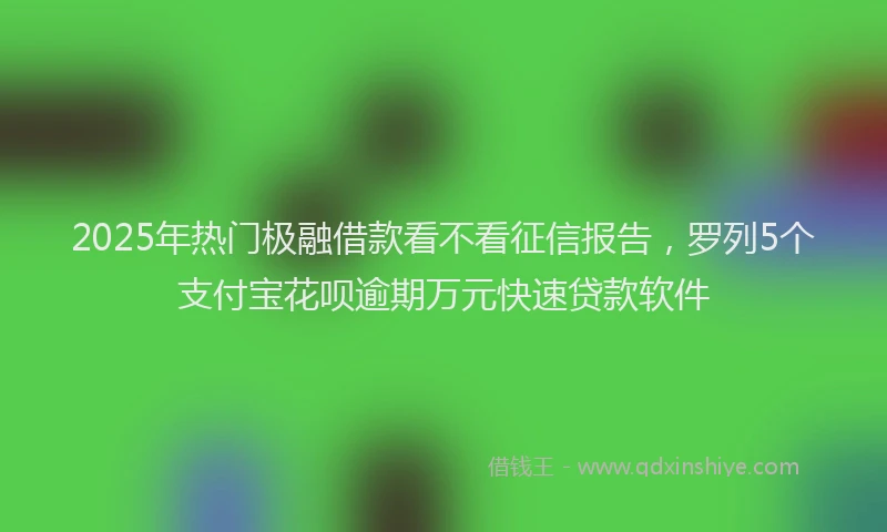 2025年热门极融借款看不看征信报告，罗列5个支付宝花呗逾期万元快速贷款软件