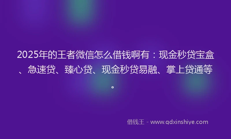 2025年的王者微信怎么借钱啊有：现金秒贷宝盒、急速贷、臻心贷、现金秒贷易融、掌上贷通等。