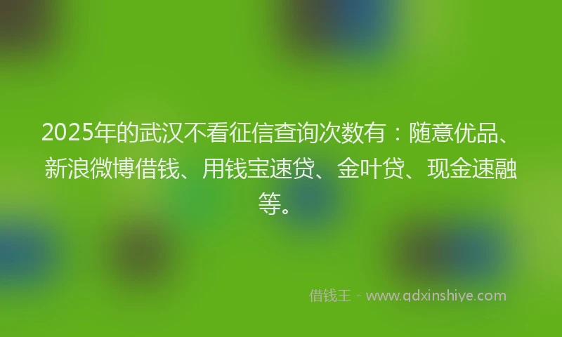 2025年的武汉不看征信查询次数有：随意优品、新浪微博借钱、用钱宝速贷、金叶贷、现金速融等。