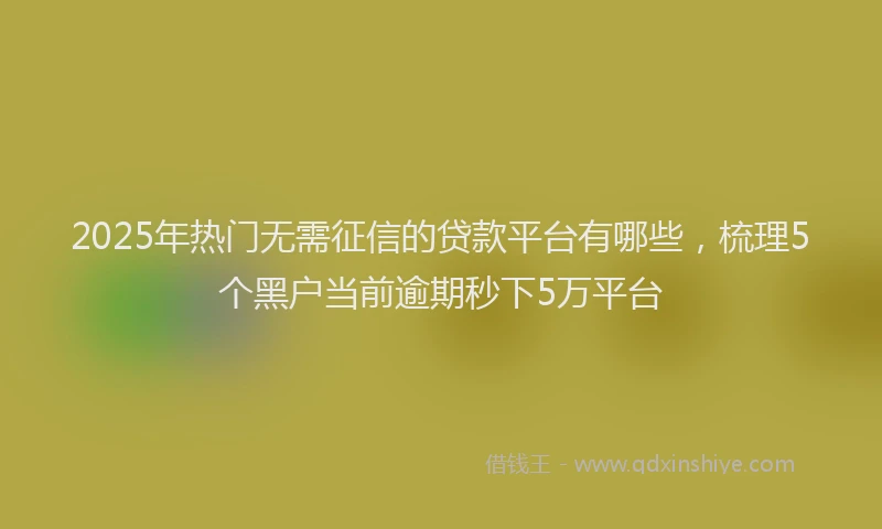 2025年热门无需征信的贷款平台有哪些，梳理5个黑户当前逾期秒下5万平台